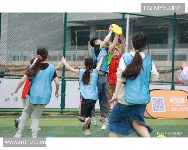 深圳飞盘队的团队协作之道：如何在飞盘运动中实现默契与配合